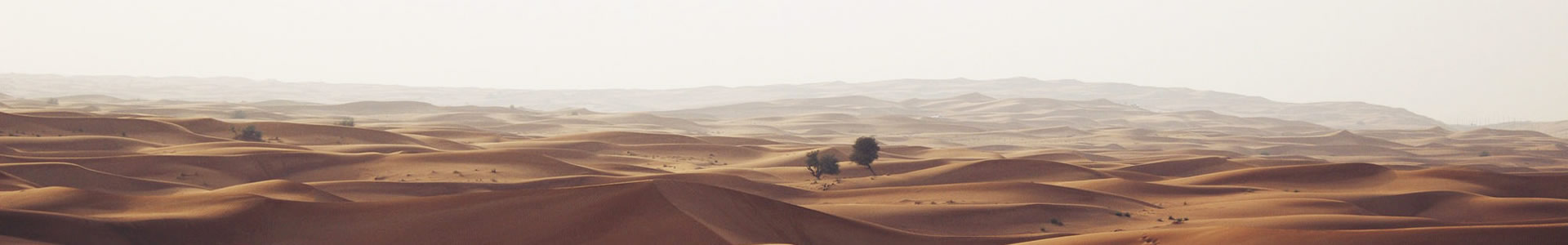ݺʥػ޹˾